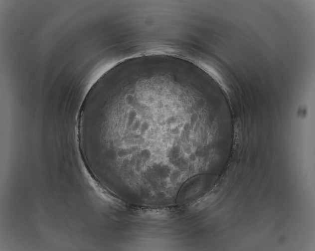 X0000090771047200708031648
