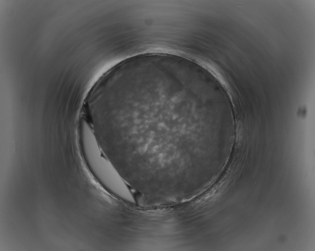 X0000090771048200708031648