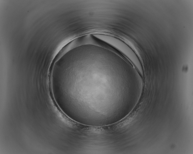 X0000090771050200708031648