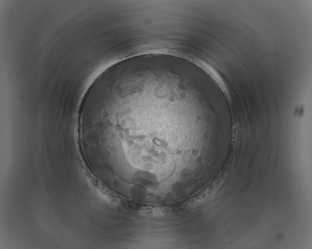 X0000090771051200708031648