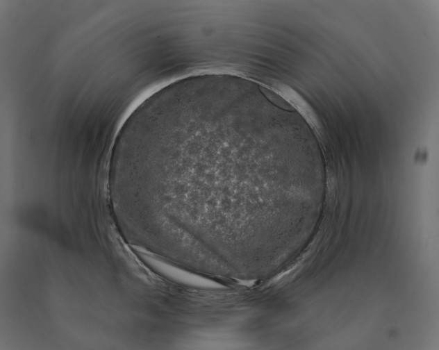 X0000090771052200708031648