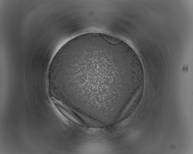 X0000090771056200708031648