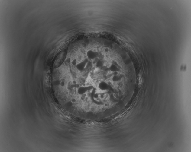 X0000090771059200708031647