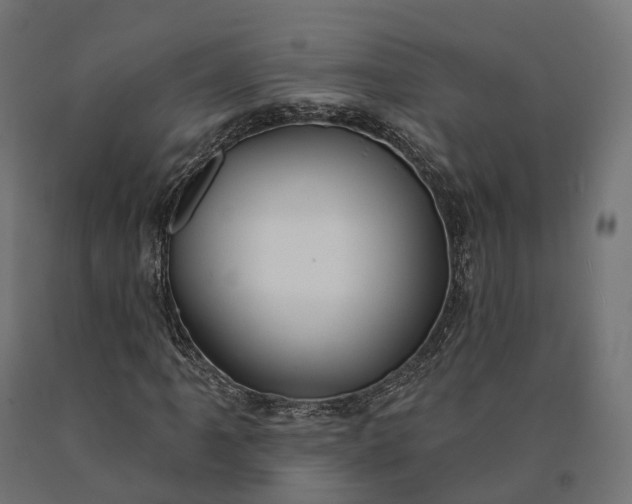 X0000090771061200708031647