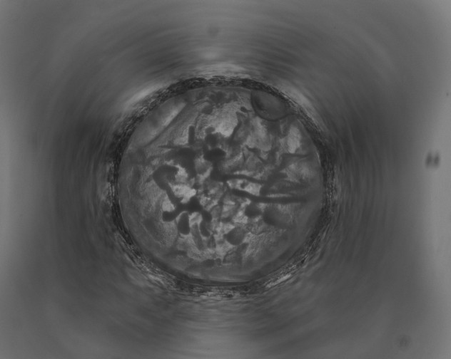 X0000090771063200708031647