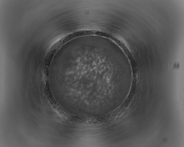 X0000090771064200708031647