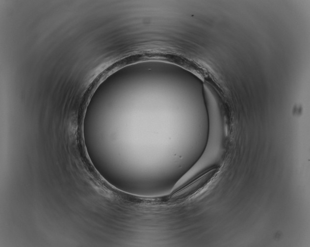 X0000090771065200708031647