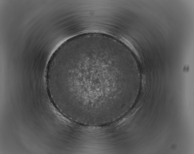 X0000090771068200708031647