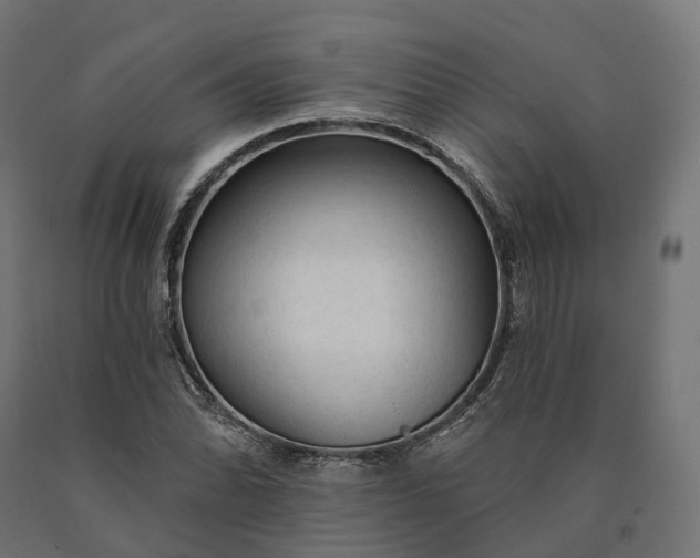 X0000090771070200708031647