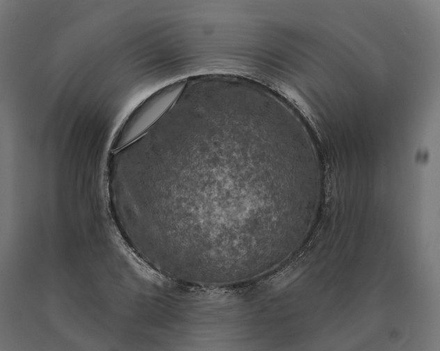 X0000090771072200708031647