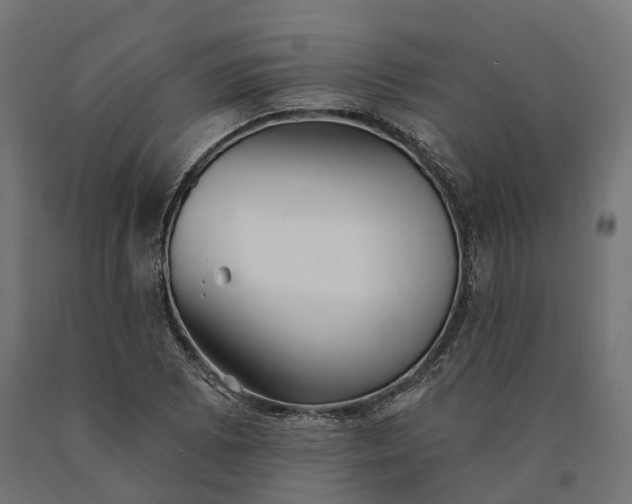 X0000090771073200708031647