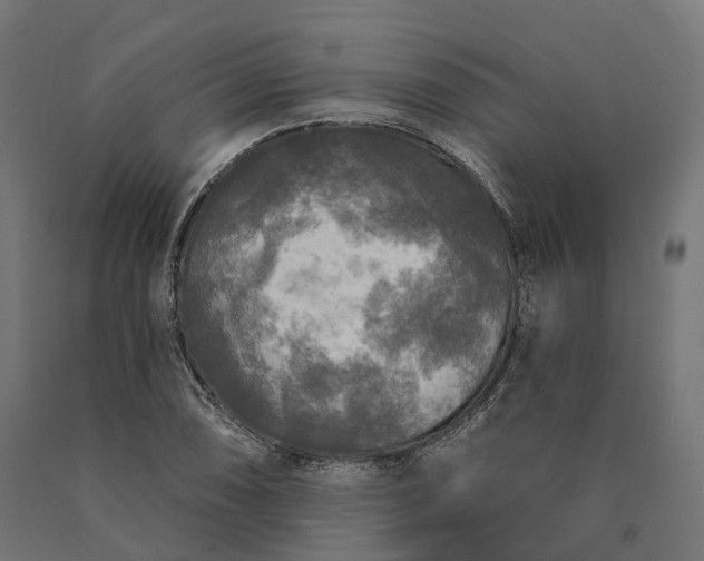 X0000090771074200708031647