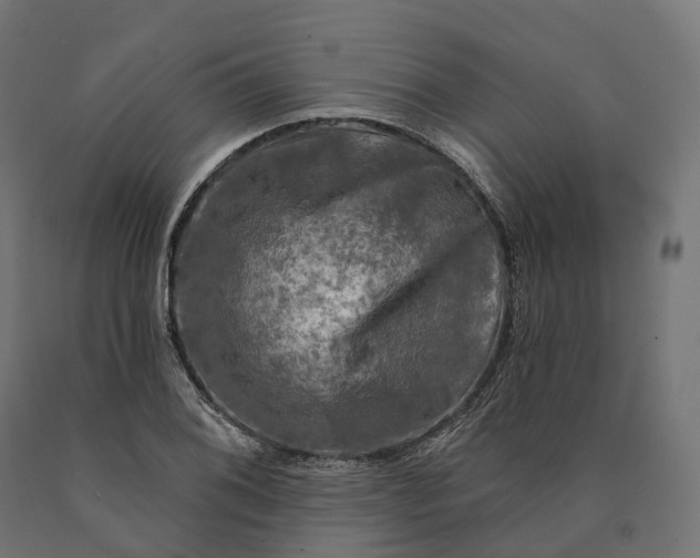 X0000090771076200708031647