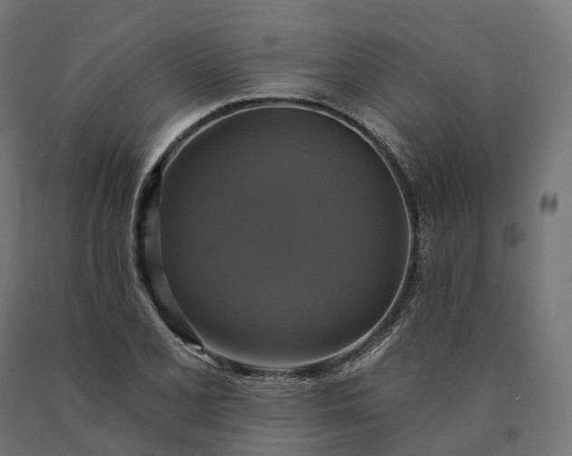 X0000090771077200708031647