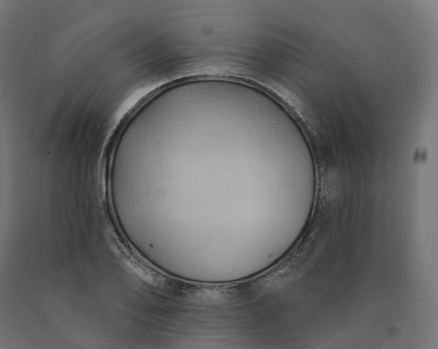 X0000090771078200708031647