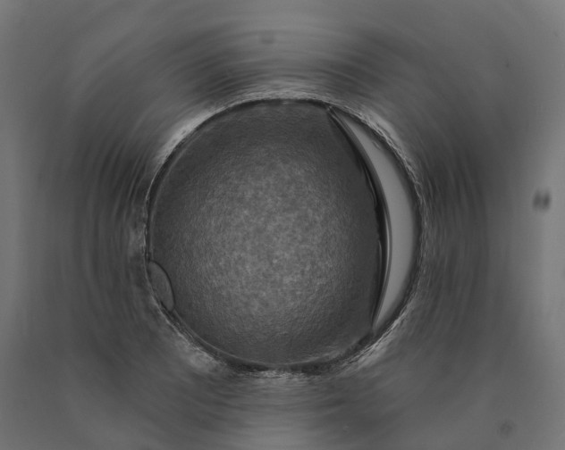 X0000090771081200708031647