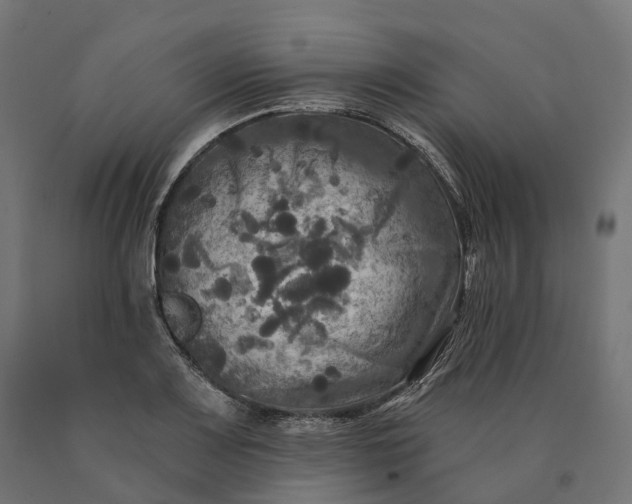 X0000090771083200708031647