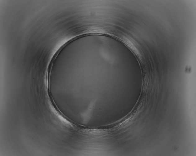 X0000090771084200708031647