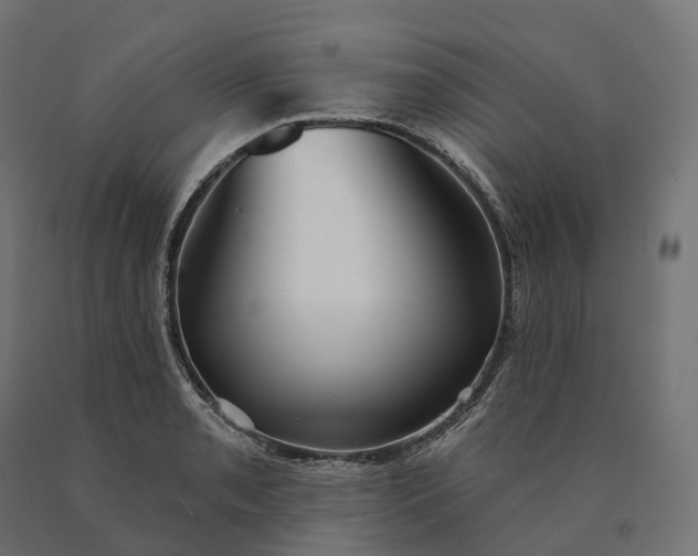 X0000090771085200708031647