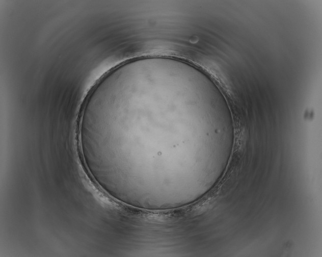 X0000090771086200708031647