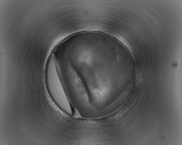 X0000090771088200708031647