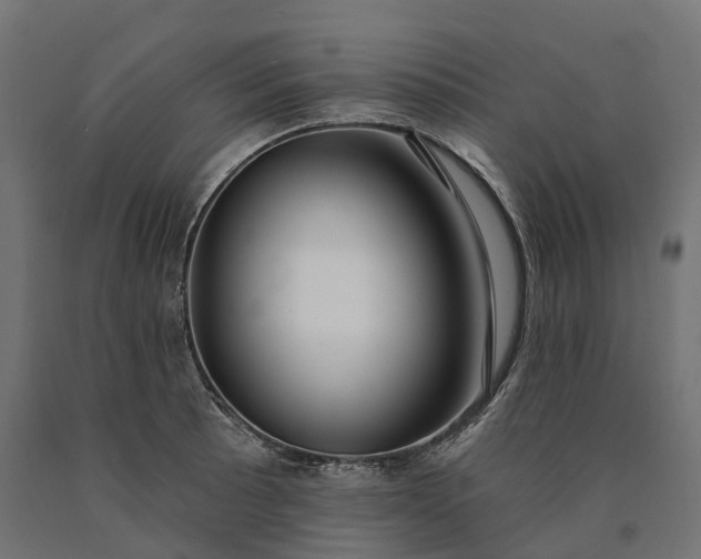 X0000090771089200708031647