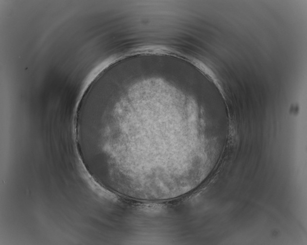 X0000090771090200708031647