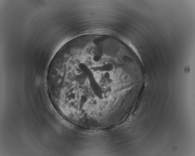 X0000090771091200708031647