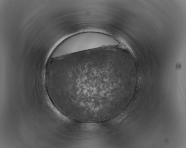 X0000090771092200708031647