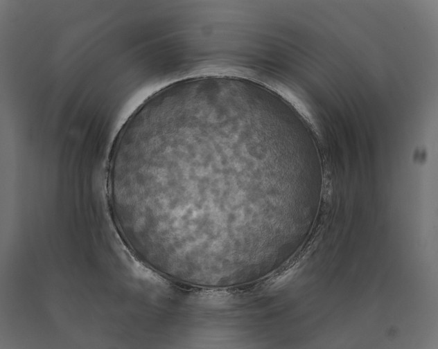 X0000090771094200708031647