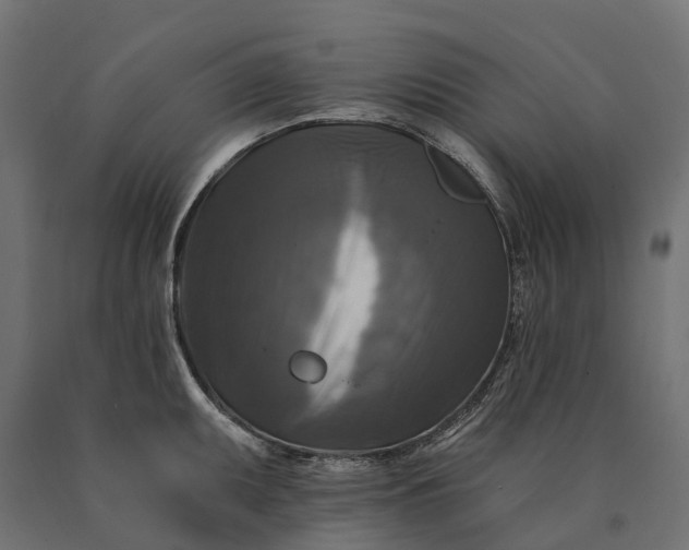 X0000090771095200708031647