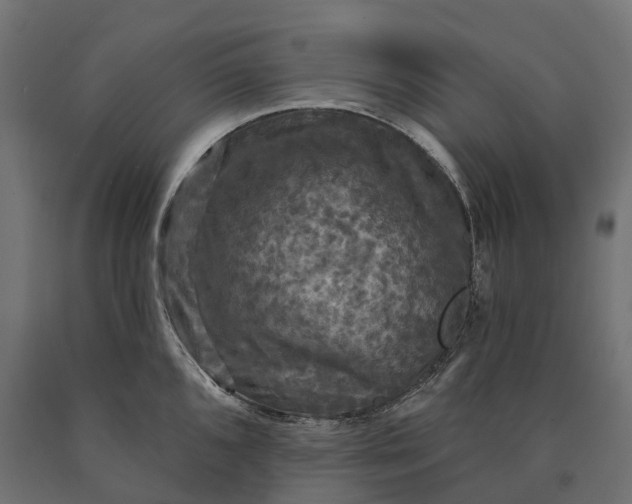X0000090771096200708031647