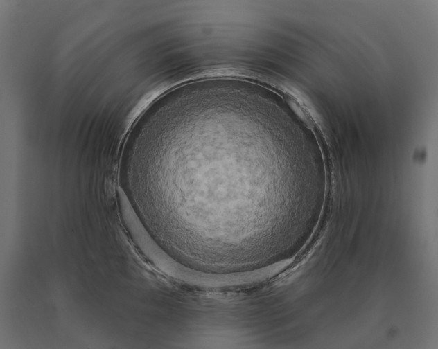 X0000090771097200708031647
