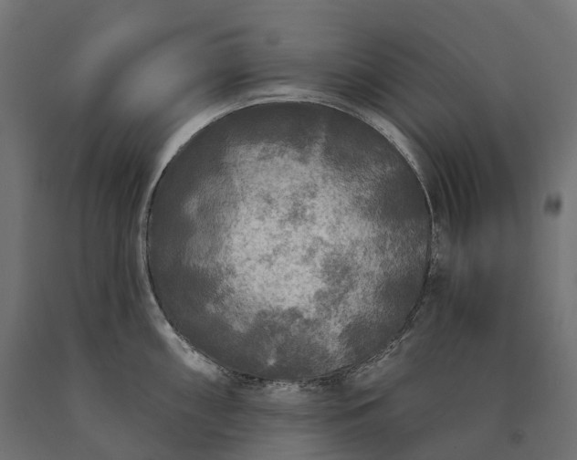 X0000090771098200708031647