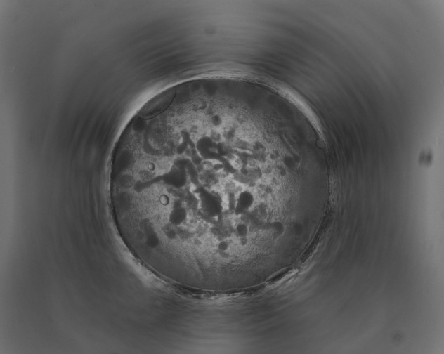 X0000090771099200708031647
