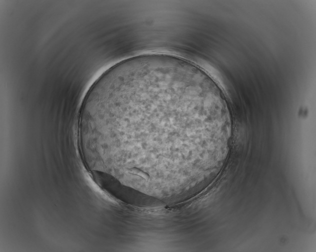 X0000090771100200708031647