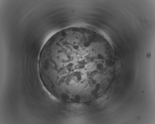 X0000090771103200708031647