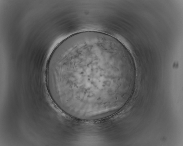 X0000090771104200708031647