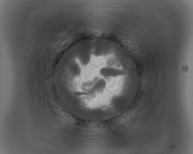 X0000090771105200708031646