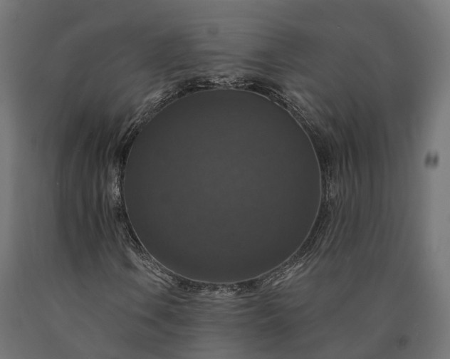 X0000090771106200708031646