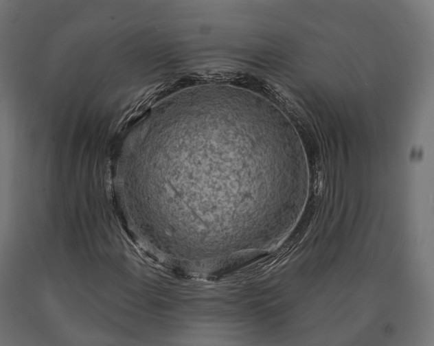 X0000090771108200708031646