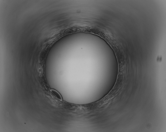 X0000090771109200708031646
