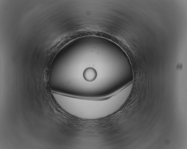 X0000090771110200708031646