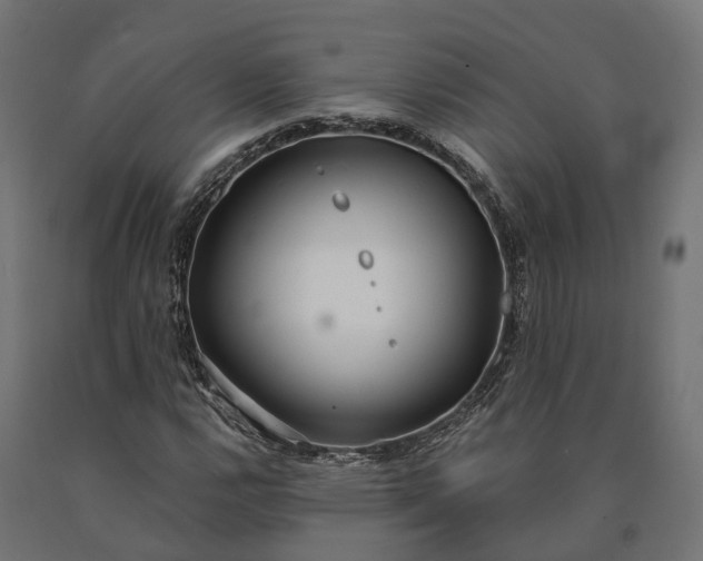 X0000090771112200708031646