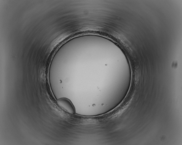 X0000090771113200708031646