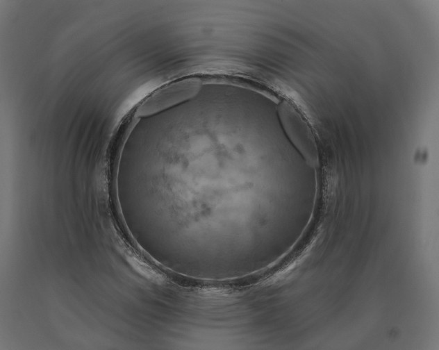 X0000090771114200708031646