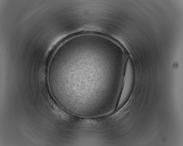 X0000090771115200708031646
