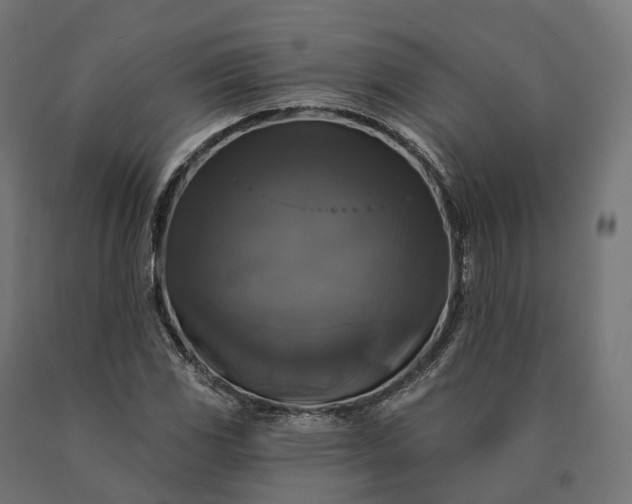 X0000090771117200708031646
