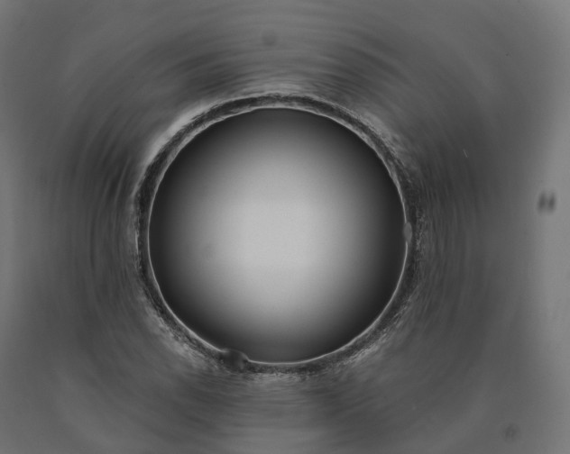 X0000090771118200708031646