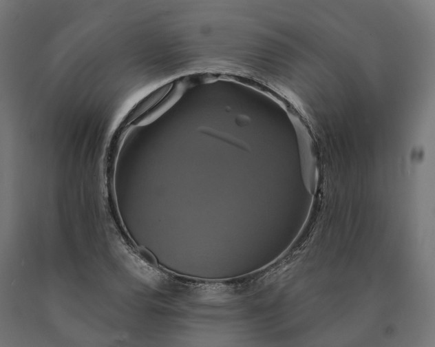 X0000090771120200708031646